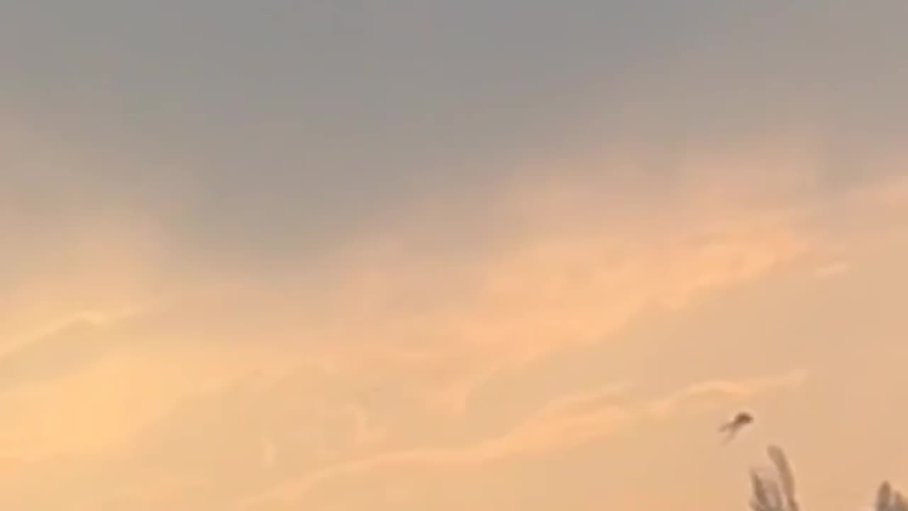 👽✨ Real UFO Encounter! Alien Sighting Caught on Camera | TheHauntingHour