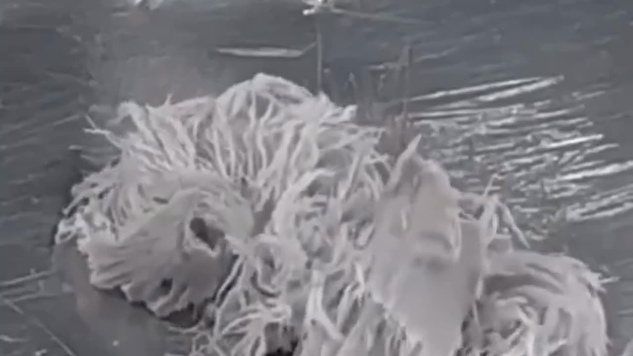 This is The stuff safe and effective vaccines are made from...