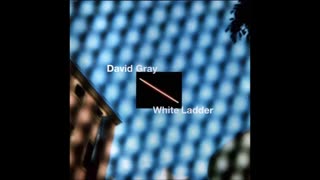 DAVID GRAY - White Ladder