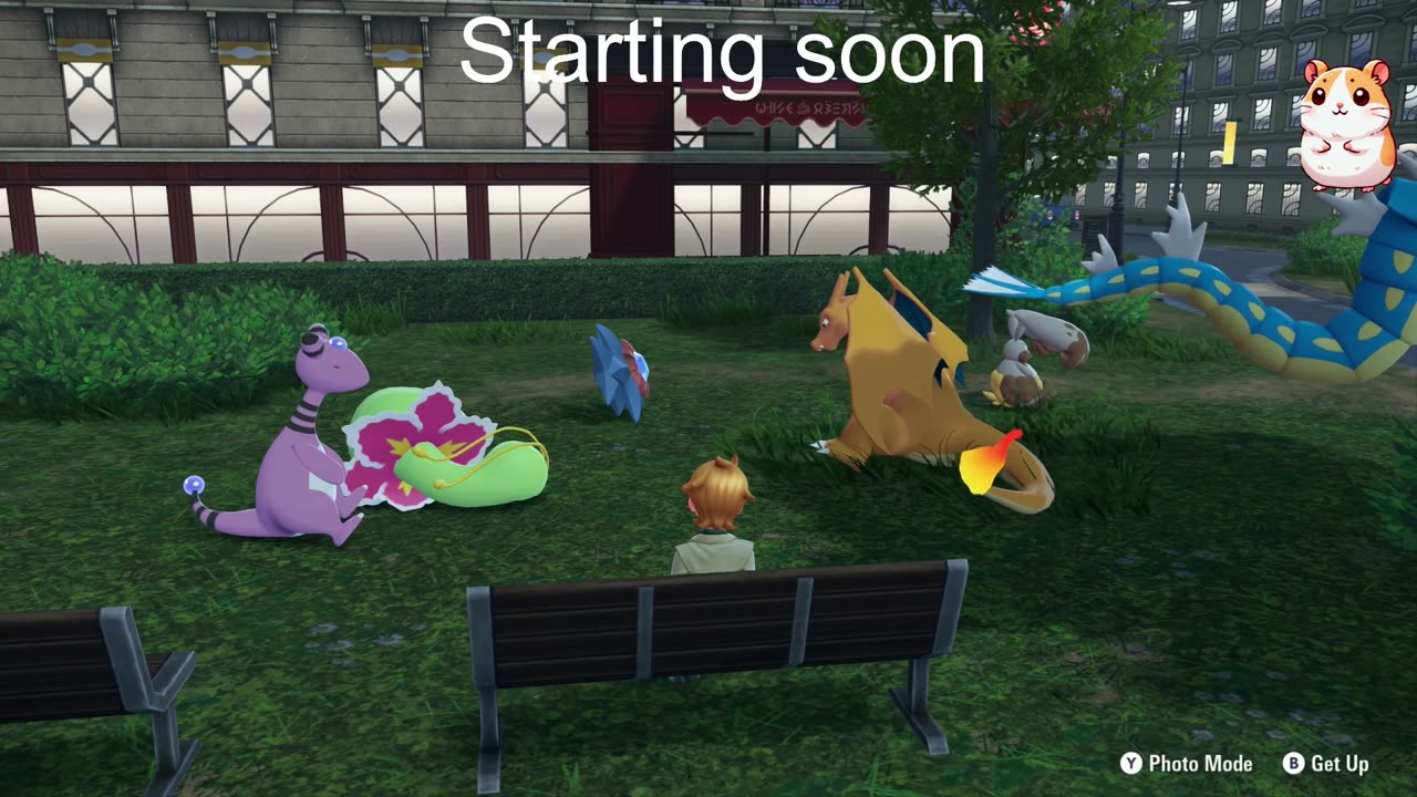 What Pokémon will we find today?