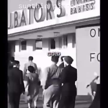 CABBAGE PATCH BABIES