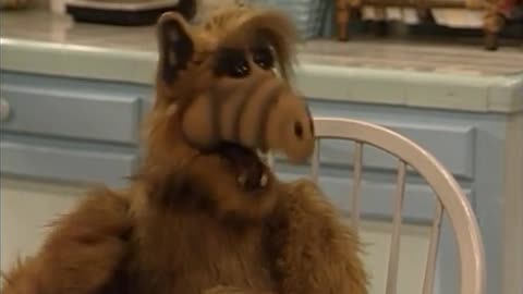 CLASSIC TELEVISION " ALF " ALIEN LIFE FORM