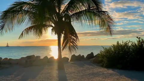 Relaxing Mini Mix House Music