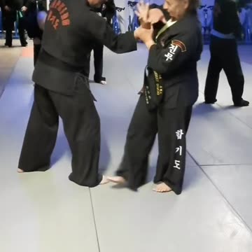 Hapkido