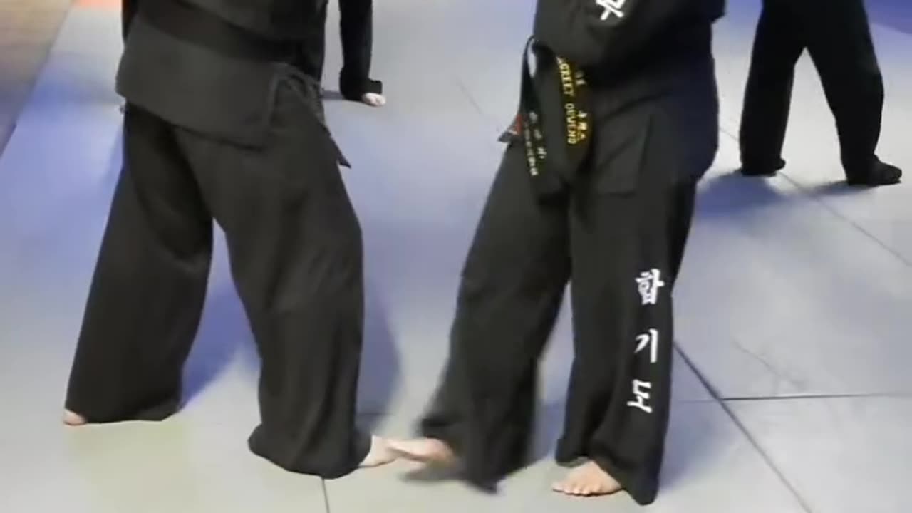 Hapkido