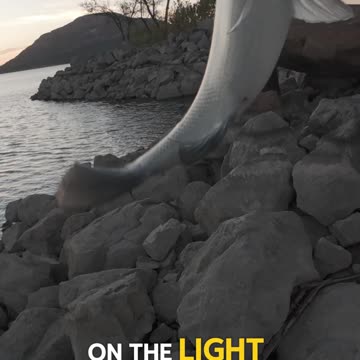 Evening Bass Bite At Lake Lawtonka Oklahoma