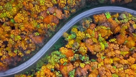 Morning Classical Lofi Starter