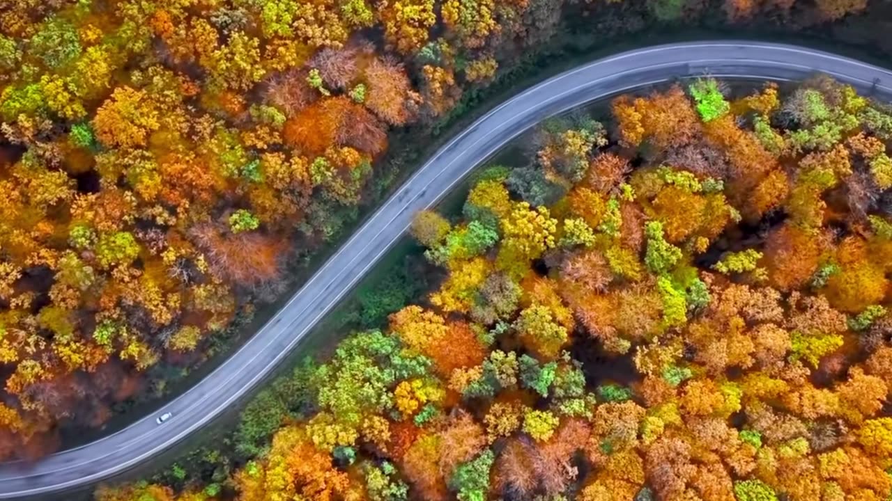 Morning Classical Lofi Starter