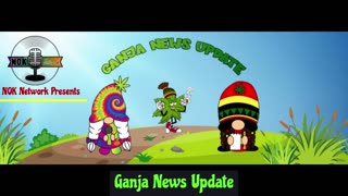 Ganja News Update Tonight