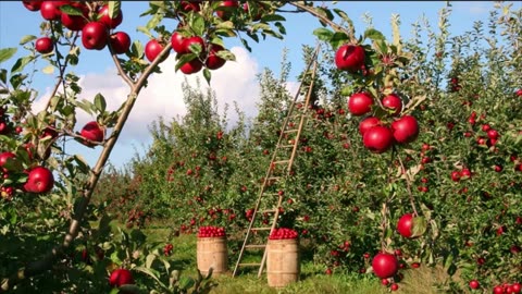 ¡Cómo funcionarían realmente los magos en las batallas
