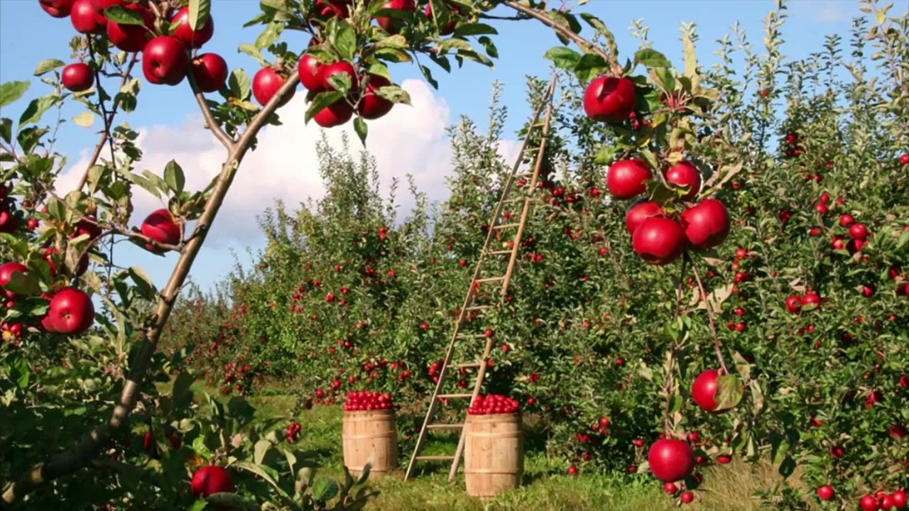 ¡Cómo funcionarían realmente los magos en las batallas