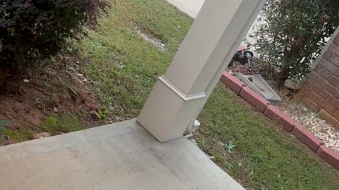 Neighbor Keeps Coming to My House Upset