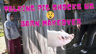 incredible talking PIG And Renovating OUR BARN
