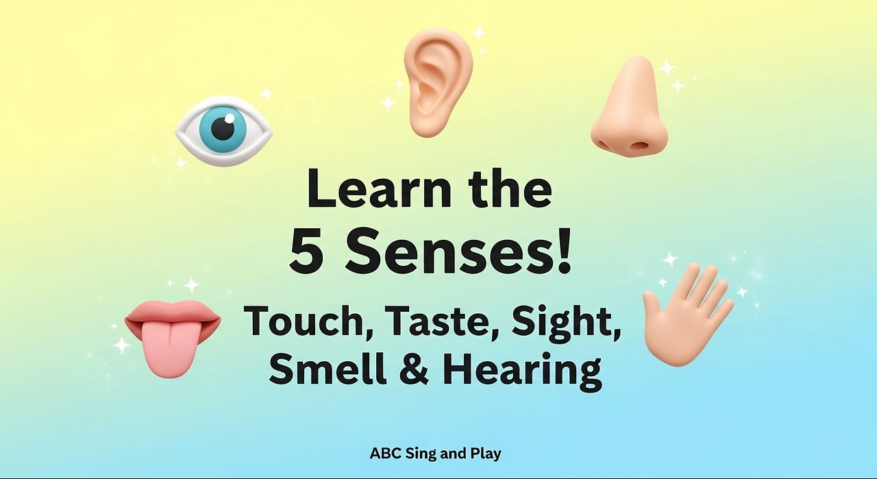 Learn the 5 Senses! Touch, Taste, Sight, Smell & Hearing | Fun Learning Song for Kids