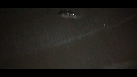 a natureza pede socorro