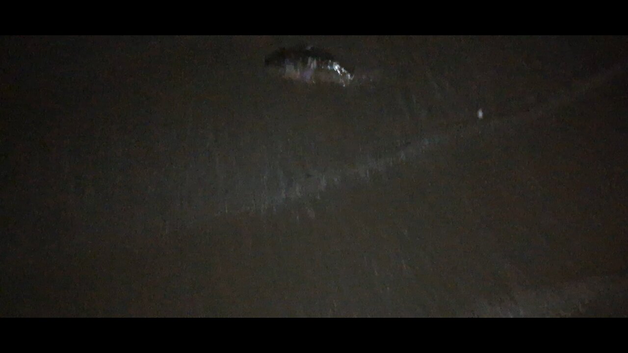 a natureza pede socorro