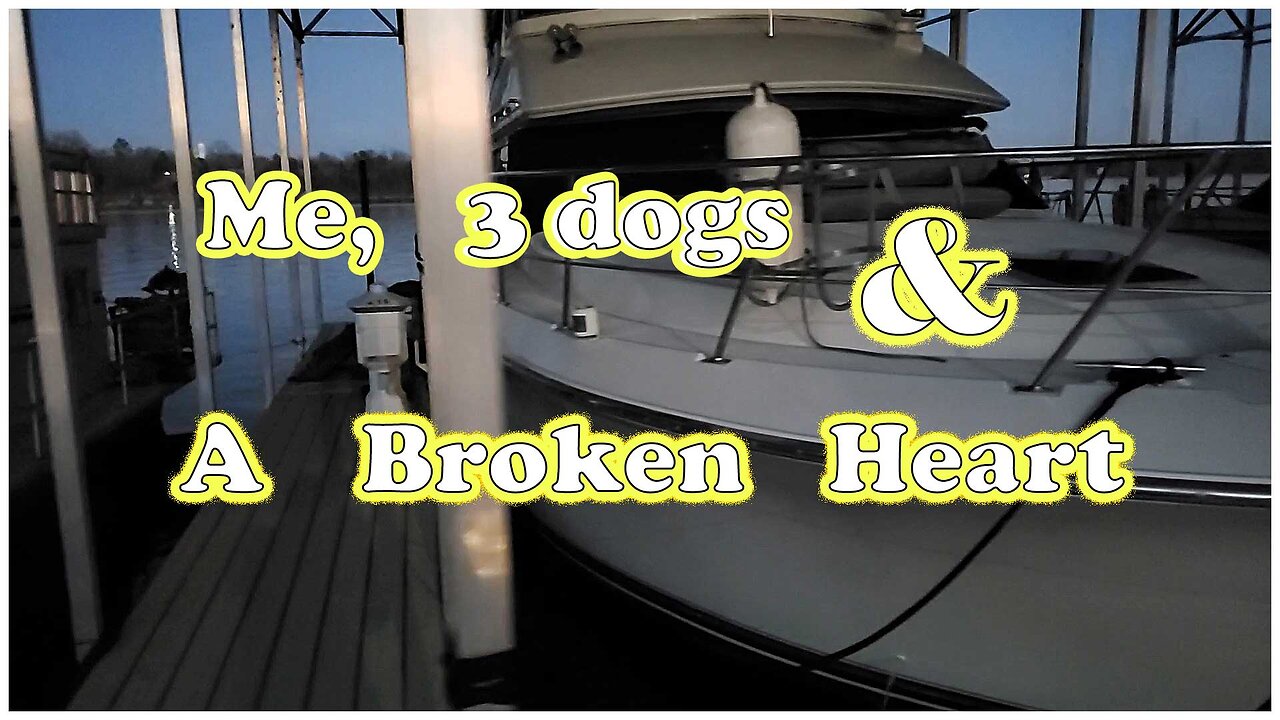 Me 3 dogs and a Broken Heart