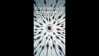 Chinese Man Has 100 American Citizen Kids (They've Never Been to America)