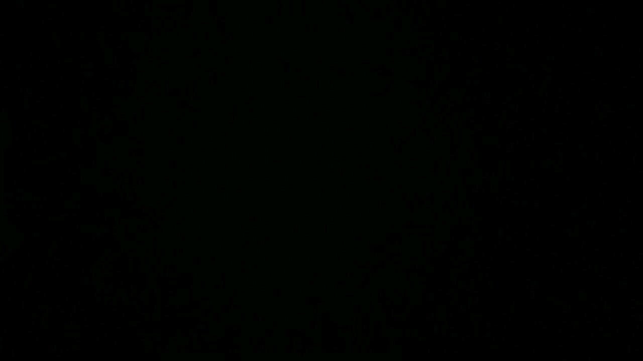 Life and Times of Luke Bell