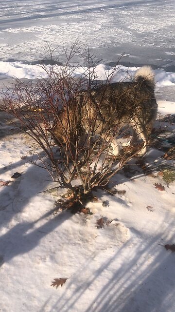 Sunday December 21, Confused and disturbed