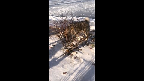 Sunday December 21, Confused and disturbed