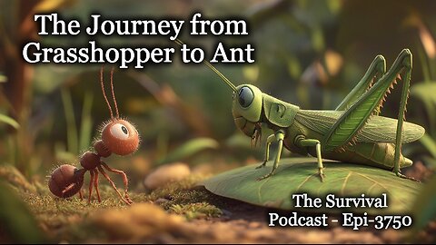 The Journey from Grasshopper to Ant - Epi-3750