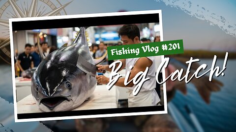 489KG Bluefin Tuna Masterfully Dissected with Surgical Precision! | Seafood World