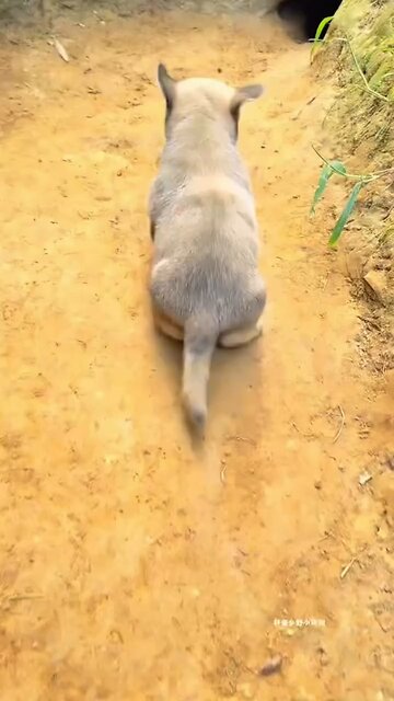 only recognize spritual liquid