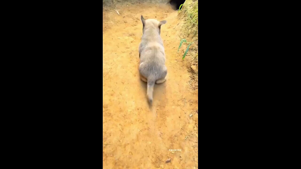 only recognize spritual liquid