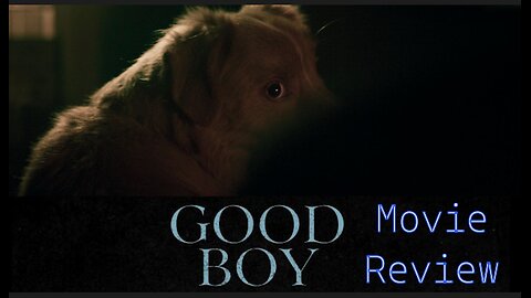 Best Actor "Good Boy" Movie Review (Light Spoilers) | Chipmunk Review