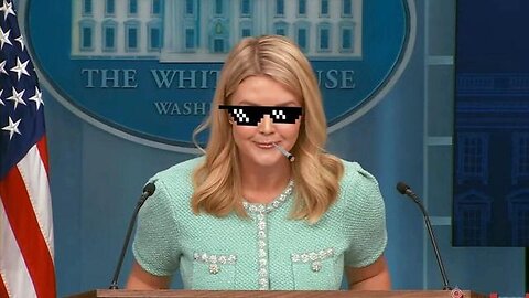 Karoline Leavitt goes scorched earth on a Associated Press reporter lol