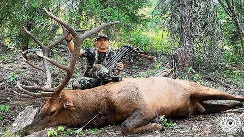 Epic Archery Elk Hunt | Wife Calls In Massive Bull on Public Land | Full Draw Film Tour Selection