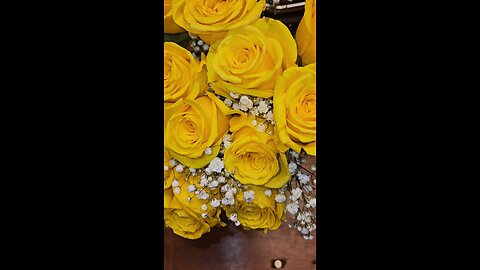 Flowers 🌹 are lovely 🌹