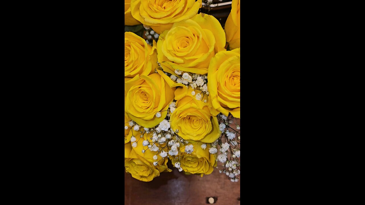 Flowers 🌹 are lovely 🌹