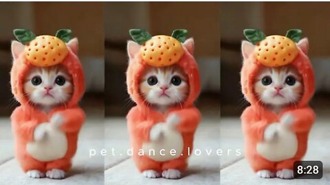 😻🐾️Cat videos funny dance 💃😻😮cat #catvideos #cutecat #catlover