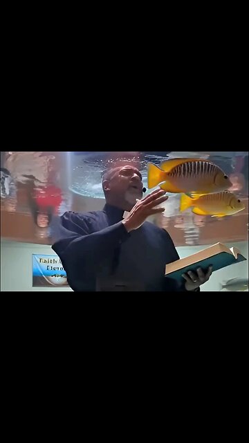aquarium ministries 🐠✝️