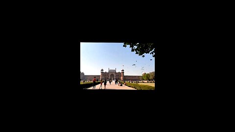funny reporting । comedy video। #shortviral #comedy #funny #news # funnyreporter