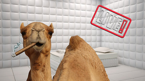 Hump Day LIVE with the Industry Killers! ATABEY, OPUSX, THE GOODS!