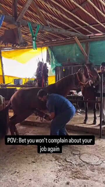 50.00 / hr job anyone ?