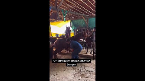 50.00 / hr job anyone ?