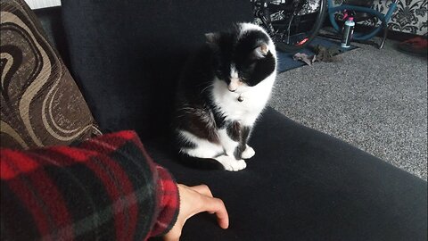 RIO SHOWS HIS ACTING IN HORROR FILM REENACTMENT FIGHTING OFF THE ALIEN 👾 FACE HUGGER BEFORE ATTACK🙀