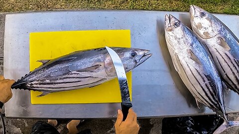 🔪 Cutting a Giant TUNA for SASHIMI! 🐟 Fresh & Perfect Cuts!
