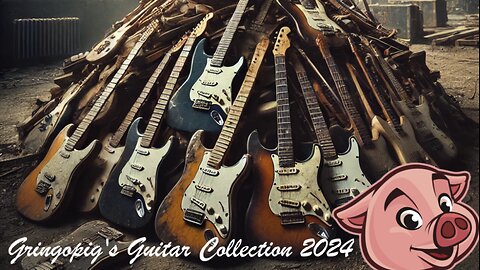 Guitar Collection 2024