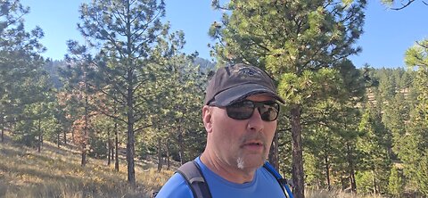 These Two Exercises Are All You Need / MT #7