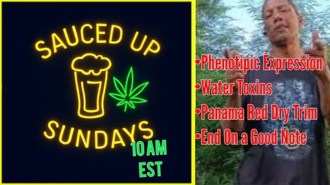 Sauced Up Sundays: #63 A Lil Trim