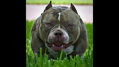 More TEXACONS air traffic and callsigns - Jan 12 2026 -