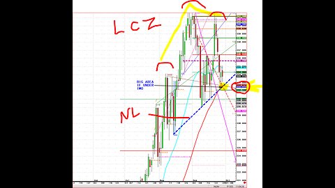 Sept 20 Qtr end Cattle