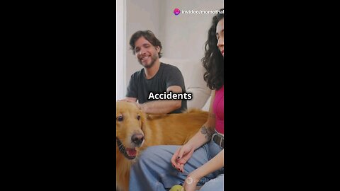 potty train your dog un 60 seconds