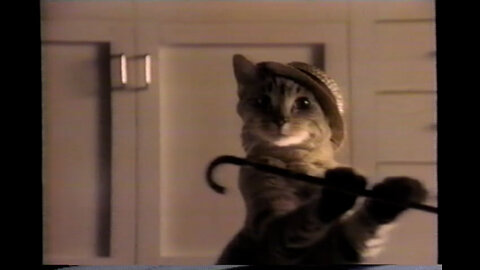 October 30, 1992 - A Cat Puts on a Show for His Supper