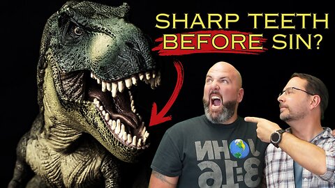 Debunking the Sharp Teeth Argument: Creation vs. Theistic Evolution